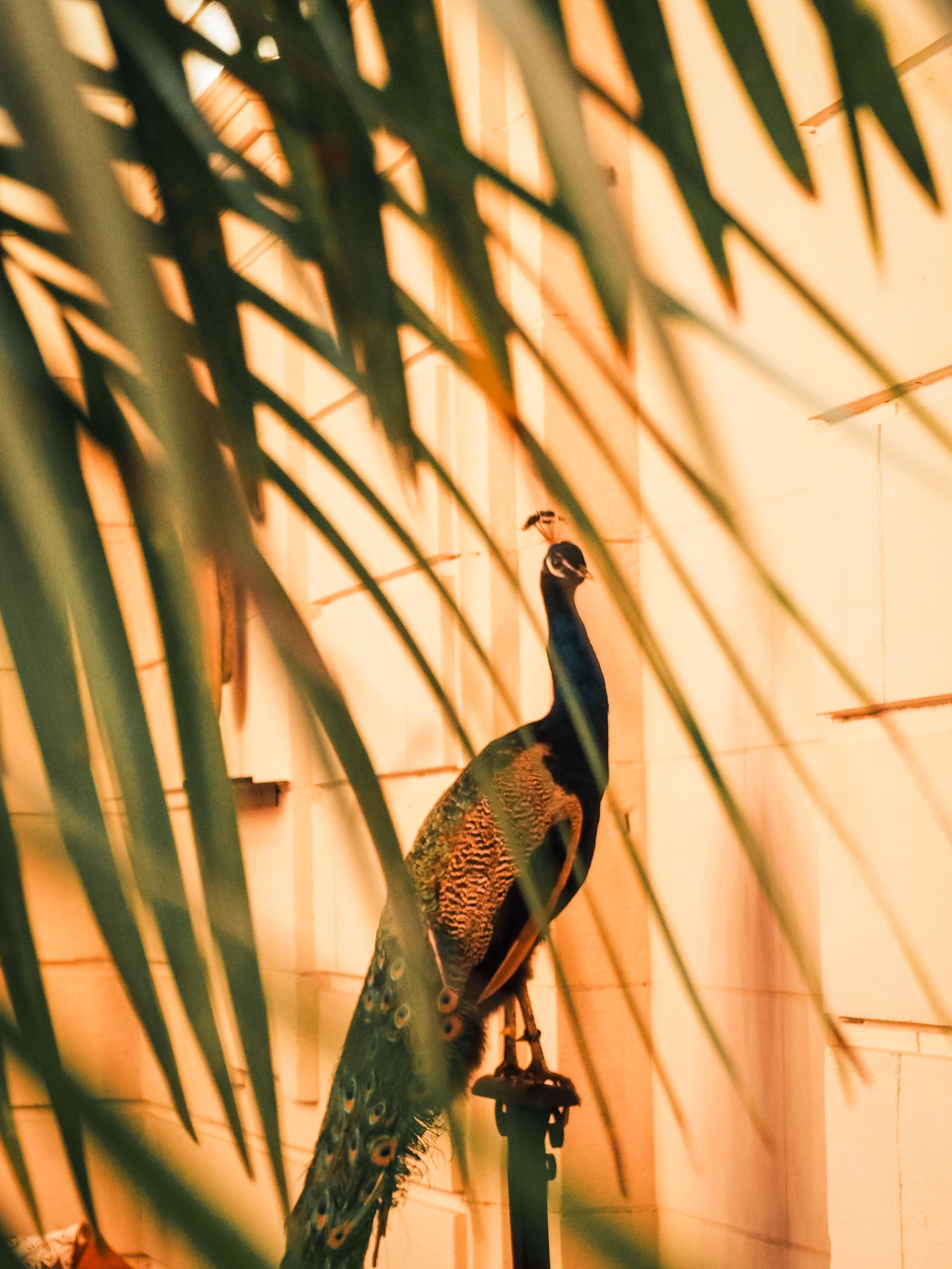 Hotel La Zoologie & Spa Bordeaux Eksteriør bilde